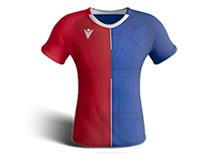 Crystal Palace Team Kit Icon