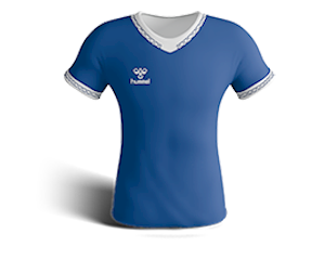 Everton Team Kit Icon
